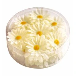 Decoratie Margrietjes